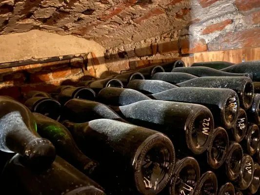 Winnica Saganum: Naturalny Potencjał i Winiarska Kreatywność