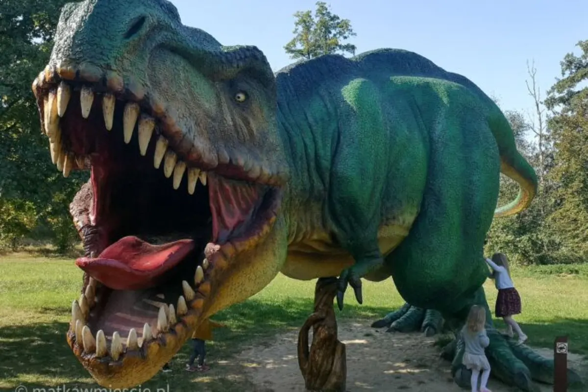 Park Dinozaurów Labirynt Żywopłotów