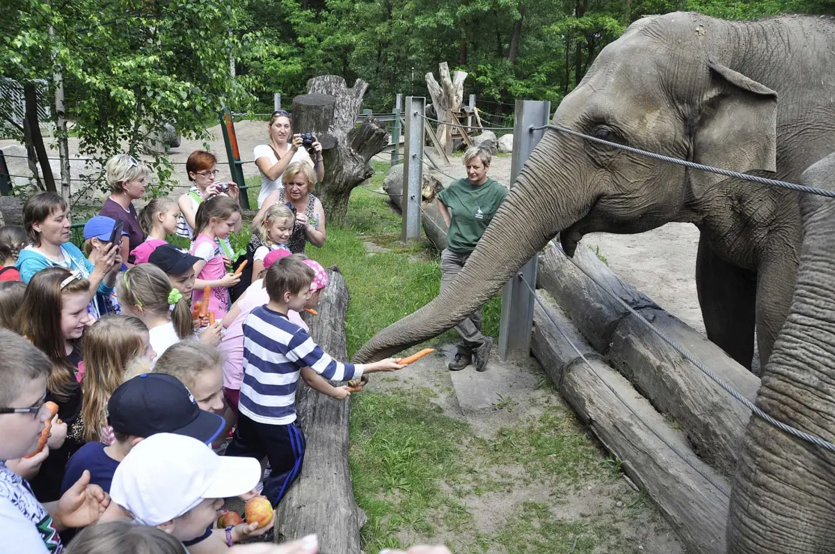 Cottbus Zoo i Fabryka Czekolady
