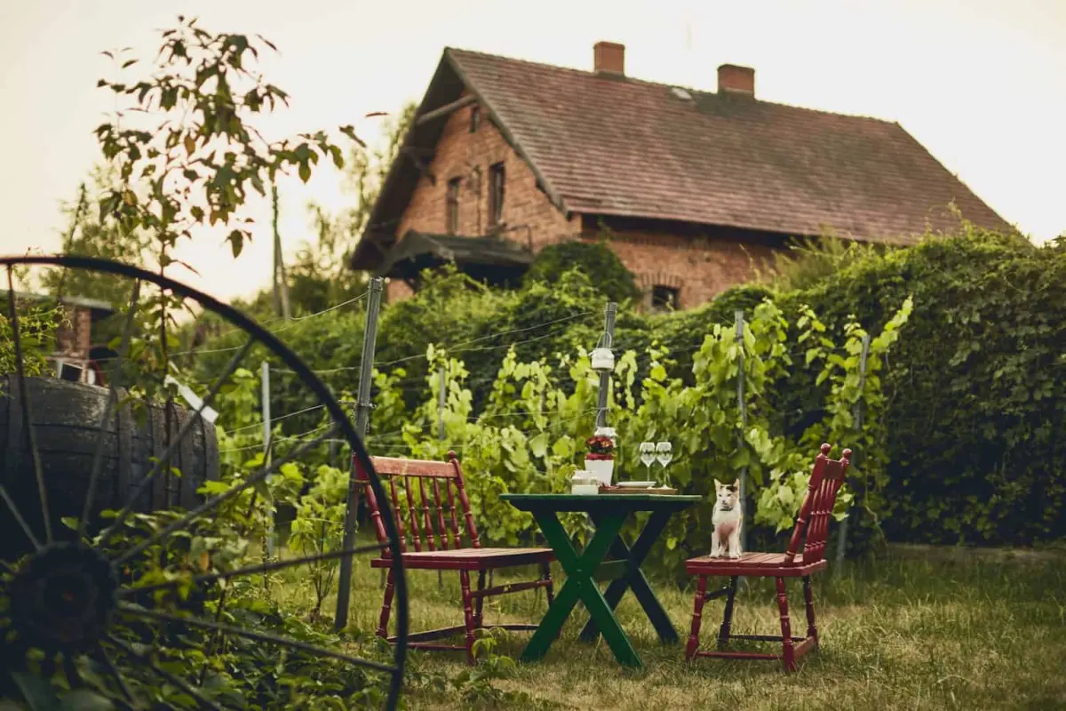 RoweroweLove – Rowerem do Stanów!