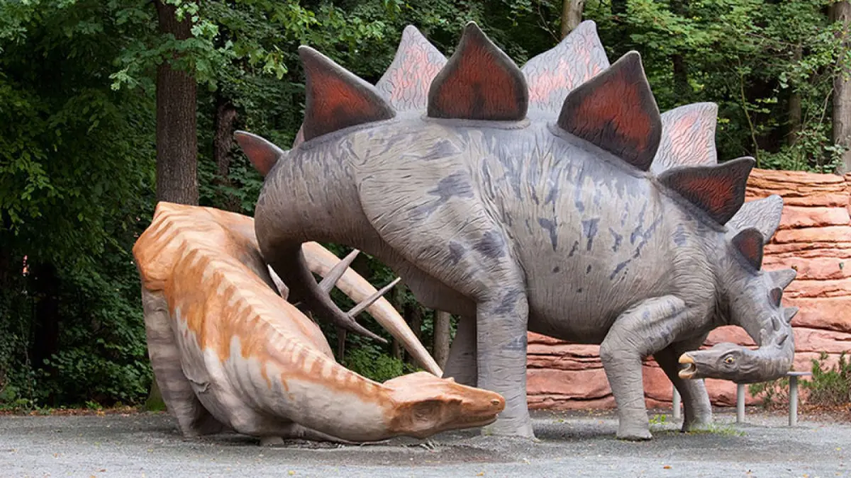 Park Dinozaurów Labirynt Żywopłotów