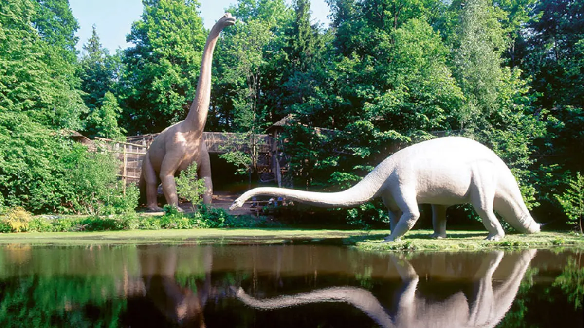 Park Dinozaurów Labirynt Żywopłotów